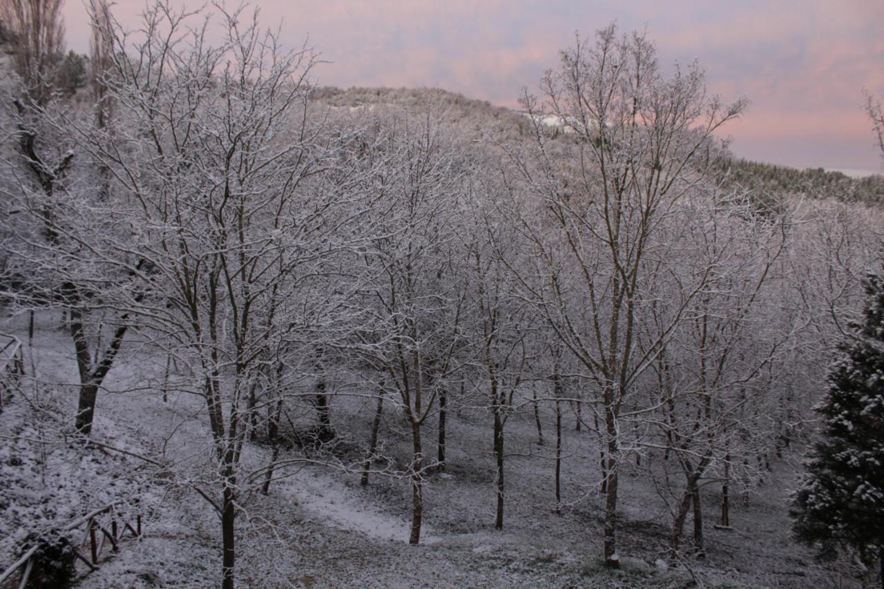 Altra Meta B&B Gubbio Kültér fotó